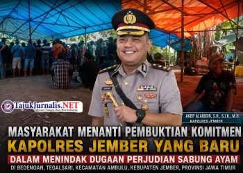 Masyarakat Menanti Pembuktian Komitmen Kapolres Jember yang Baru dalam Menindak Dugaan Perjudian Sabung Ayam di Tegalsari