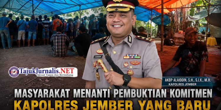 Masyarakat Menanti Pembuktian Komitmen Kapolres Jember yang Baru dalam Menindak Dugaan Perjudian Sabung Ayam di Tegalsari