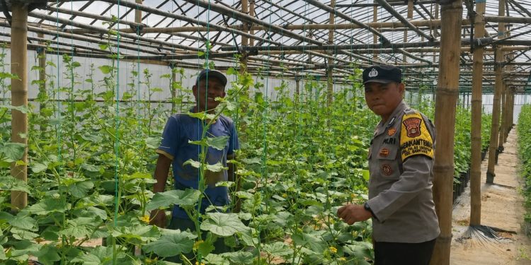 Bhabinkamtibmas Polsek Banyuasin III Ajak Warga Desa Tanjung Agung Sukseskan Program Pekarangan Pangan Bergizi