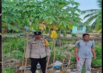Bhabinkamtibmas Polsek Banyuasin II Ajak Warga Marga Sungsang Manfaatkan Pekarangan untuk Ketahanan Pangan