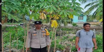 Bhabinkamtibmas Polsek Banyuasin II Ajak Warga Marga Sungsang Manfaatkan Pekarangan untuk Ketahanan Pangan