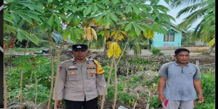 Bhabinkamtibmas Polsek Banyuasin II Ajak Warga Marga Sungsang Manfaatkan Pekarangan untuk Ketahanan Pangan