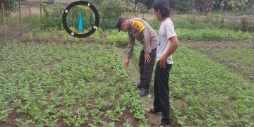 Bhabinkamtibmas Muara Telang Ajak Warga Mekar Mukti Dukung Swasembada Pangan