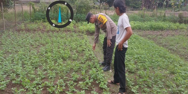 Bhabinkamtibmas Muara Telang Ajak Warga Mekar Mukti Dukung Swasembada Pangan