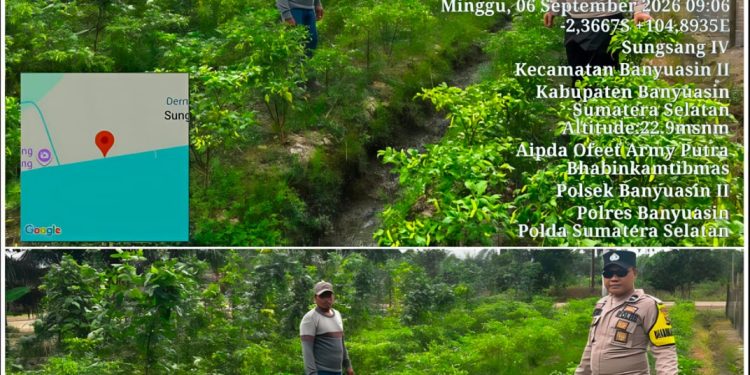 Pekarangan Produktif Untuk Penopang Ketahanan Pangan, Oleh Aipda Ofeet Army Putra ,Ajak Warga Desa Sungsang IV Kec. Banyuasin ll Dukung P2B