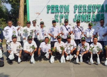 Perhutani Jombang Perduli Lingkungan Bagikan Bibit Ke Warga Yang Melintas