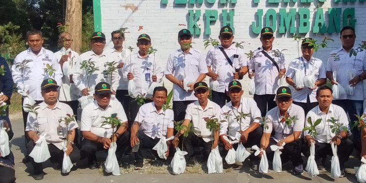 Perhutani Jombang Perduli Lingkungan Bagikan Bibit Ke Warga Yang Melintas
