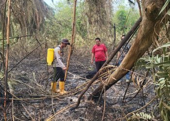Pastikan Lahan Aman dari Api, Polsek Rantau Bayur Lakukan Pendinginan Dampak Karhutla