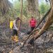 Pastikan Lahan Aman dari Api, Polsek Rantau Bayur Lakukan Pendinginan Dampak Karhutla