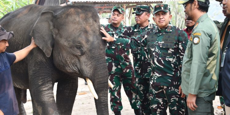 Peduli Konservasi, Danrem 044/Gapo Cek Langsung Kondisi Gajah Padang Sugihan