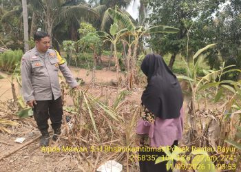 Pekarangan Produktif Untuk Penopang Ketahanan Pangan, Oleh Aiptu Mirwan ,Ajak Warga Dusun lll Desa Tebing Abang Kec. Rantau Bayur Dukung P2B