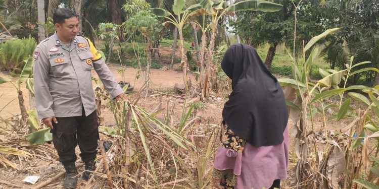 Pekarangan Produktif Untuk Penopang Ketahanan Pangan, Oleh Aiptu Mirwan ,Ajak Warga Dusun lll Desa Tebing Abang Kec. Rantau Bayur Dukung P2B