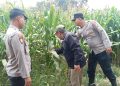 Wujudkan Swasembada Pangan, Polres Jombang Libatkan Bhabinkamtibmas Pantau Tanaman Jagung