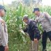 Wujudkan Swasembada Pangan, Polres Jombang Libatkan Bhabinkamtibmas Pantau Tanaman Jagung