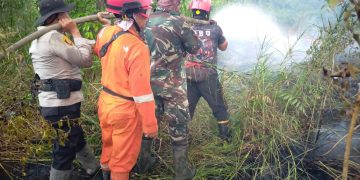 Tim Gabungan Padamkan Karhutla di Dua Lokasi Kecamatan Rambutan, Api Berhasil Dipadamkan