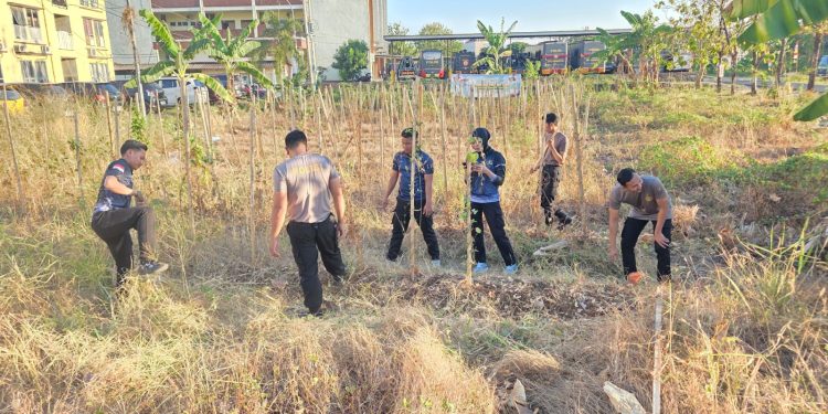 BIRO SDM POLDA SULSEL LAKUKAN PERAWATAN TANAMAN UWI UNGU, USIA 9 BULAN SIAP PANEN