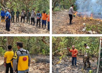 Polsek Banyuasin III Bersama Tim Posko Padamkan Karhutla di Pangkalan Balai