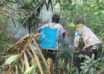 Polsek Air Kumbang Bersama MPA Padamkan Hotspot di Desa Rimba Jaya
