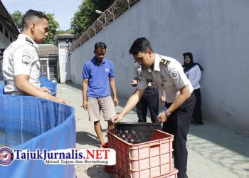 Lapas Sidoarjo Panen 35 Kg Lele, Hasil budidaya lele dimanfaatkan untuk mendukung ketahanan pangan sekaligus memenuhi kebutuhan konsumsi warga binaan melalui dapur lapas