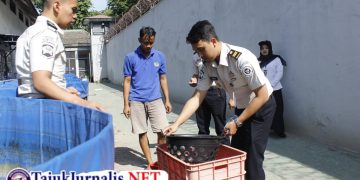 Lapas Sidoarjo Panen 35 Kg Lele, Hasil budidaya lele dimanfaatkan untuk mendukung ketahanan pangan sekaligus memenuhi kebutuhan konsumsi warga binaan melalui dapur lapas