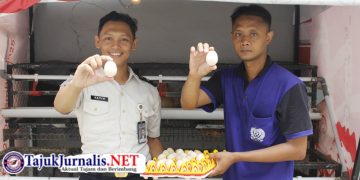 Lapas Sidoarjo Panen Telur Setiap Hari Peternakan Ayam Kampung Elba Jadi Bagian dari Pembinaan Kemandirian Warga Binaan untuk Mendukung Program STAR Proaksi Kemenimipas