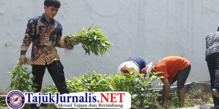 Pembinaan Kemandirian Warga Binaan melalui Budidaya Sayuran Menjadi Langkah Nyata dalam Mengembangkan Keterampilan dan Mendukung Ketahanan Pangan